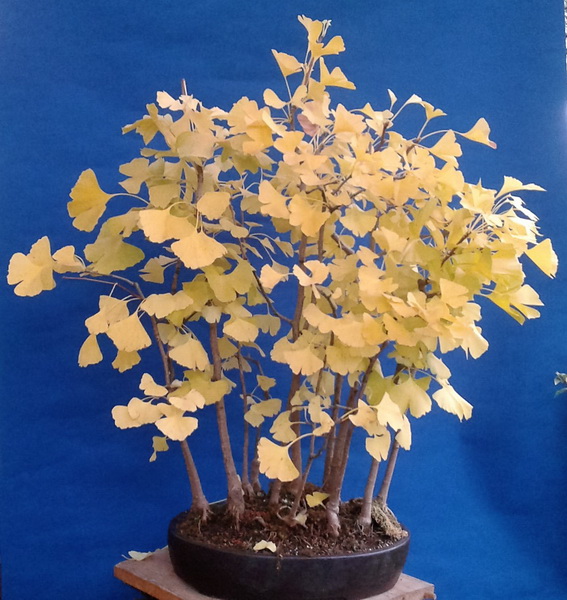 20161025_100249 (2)_resize.jpg