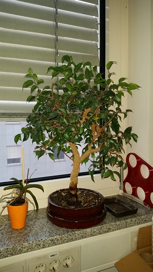 20151110_073932.jpg