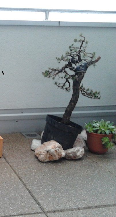Slika apr2012.jpg