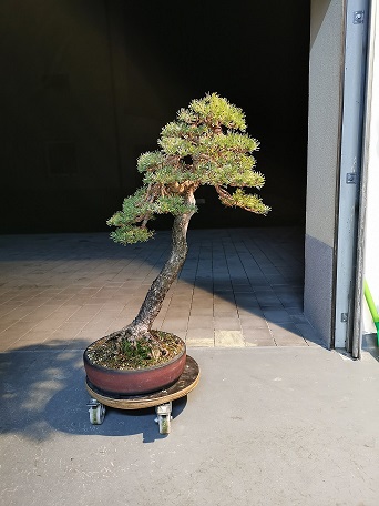 slika jan2020 pomanjsan.jpg